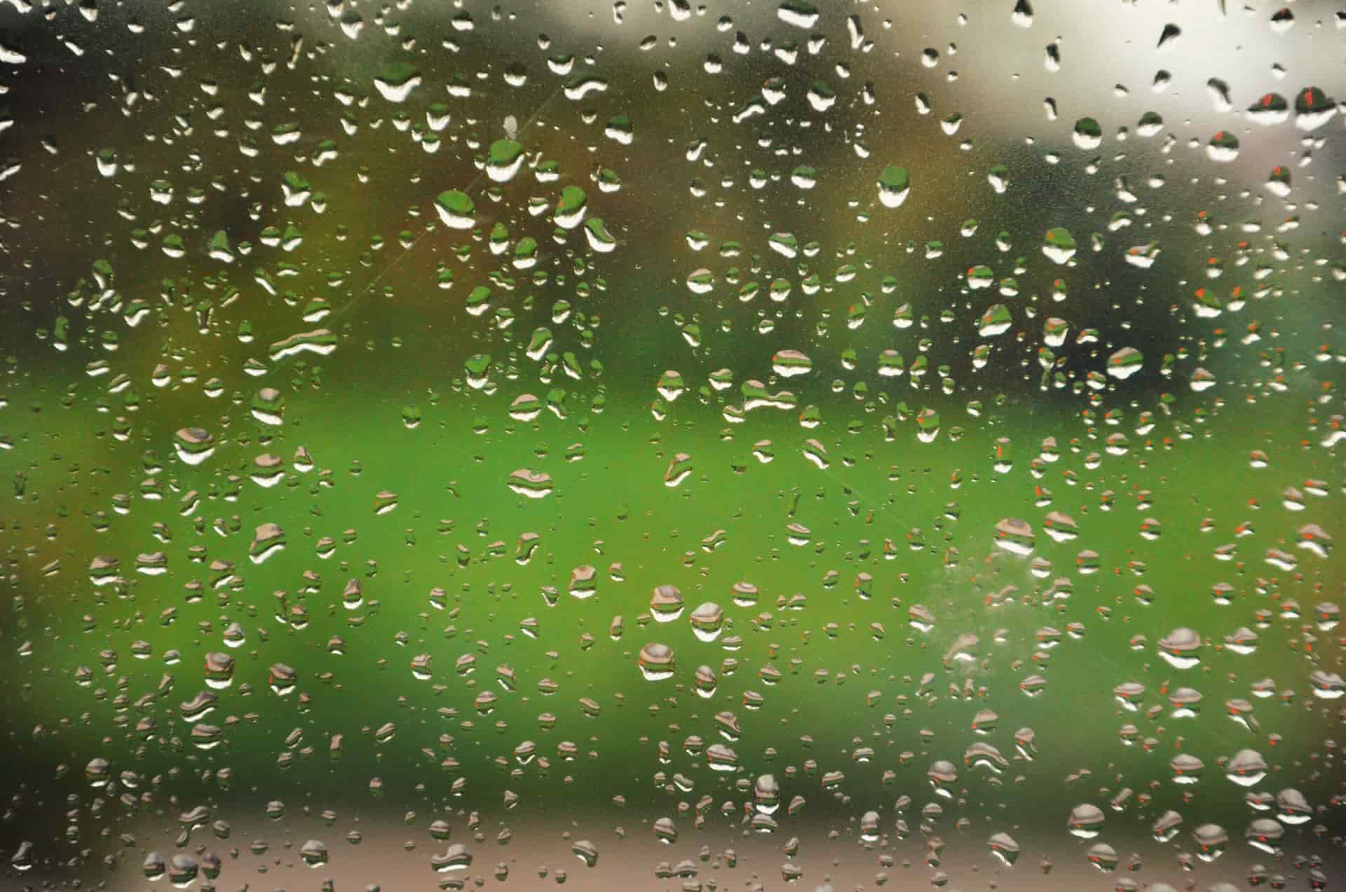 Moisture collecting inside a storage container